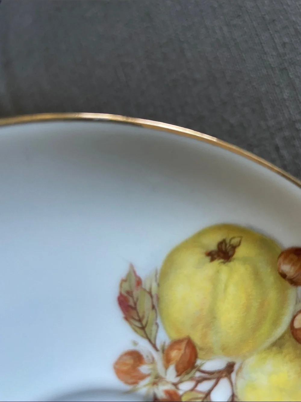 Bareuther Waldsassen Bavarian  Teacup and Saucer Set Fruit design and Gold Trim